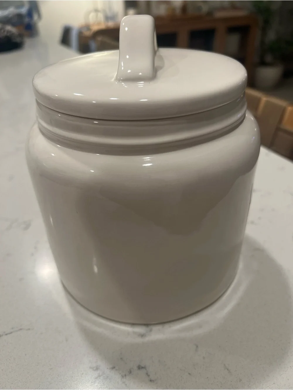 NWT Rae Dunn Ceramic Hold Canister